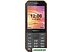 Мобильный телефон TeXet TM-302 