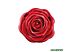 Надувной плот Intex Красная роза (58783)