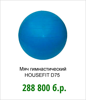 Мяч-гимнастический-HOUSEFIT-D75.jpg
