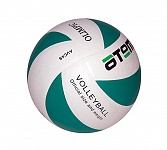 Картинка Мяч Atemi Olimpic (белый/зеленый)