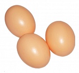 Картинка Подкладное куриное яйцо