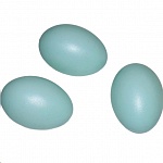 Картинка Подкладное утиное яйцо