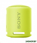 Картинка Беспроводная колонка Sony SRS-XB13 (лимонно-желтый)
