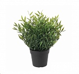 Картинка Искусственное растение IKEA Фейка 204.339.41