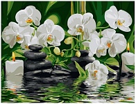 Картинка Картина по номерам Picasso Орхидеи у ручья (PC3040035)