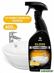 Gloss Professional 125533 600 мл