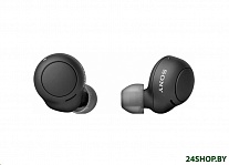 Картинка Наушники Sony WF-C500 (черный)