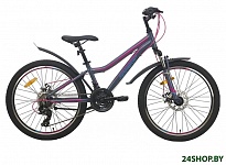 Картинка Велосипед Aist Rosy Junior 2.1 2022 (24, серый)