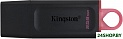 USB Flash Kingston Exodia 256GB