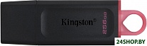 Картинка USB Flash Kingston Exodia 256GB