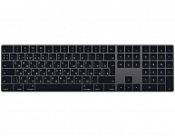 Картинка Клавиатура Apple Magic Keyboard с цифровой панелью (серый космос) (MRMH2RS/A)