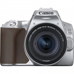 Картинка Зеркальный фотоаппарат Canon EOS 250D Kit 18-55 IS STM (серебристый) 3461C001