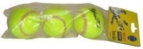 Картинка Мячи теннисные FORA (3 штуки в тубе) T801