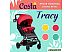 Детская прогулочная коляска Costa Tracy Scarlet (красный)