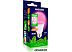Светодиодная лампочка SmartBuy SBL-A60-fito E27 13 Вт SBL-A60-13-fito-E27