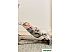 Шезлонг BabyBjorn Bliss Cotton 0060.39
