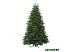 Ель Maxy Poland Императорская Литая 2,3 м (без веток) Ель Maxy Poland Императорская Литая 2,3 м (без веток)