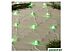 Световая сетка Luazon Сеть 144 LED 1.6х1.6 м (зеленый) 1585749