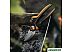 Секатор Fiskars X-series PowerGear X KF L P961 1057175