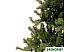 Ель Royal Christmas Promo Tree Standard 1,8 м