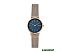 Наручные часы Skagen SKW2837