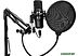 Микрофон проводной SunWind SW-SM400G (чёрный)