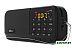 Радиоприемник Ritmix RPR-007 (черный) Радиоприемник Ritmix RPR-007 (черный)