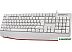 Клавиатура Defender Atom HB-546 (белый)