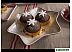 Салатник Villeroy & Boch Winter Bakery Delight Новогодняя елка 14-8612-3776