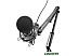 Микрофон Ritmix RDM-180