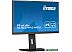 Монитор Iiyama ProLite XUB2492HSU-B5