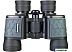 Бинокль Levenhuk Discovery Flint 8x40 79582