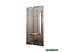 Душевая дверь Ravak Pivot PDOP2 - 100