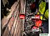 Ударная дрель-шуруповерт Milwaukee M18 ONEPD3-0X 4933492798 (без АКБ, кейс) Ударная дрель-шуруповерт Milwaukee M18 ONEPD3-0X 4933492798 (без АКБ, кейс)