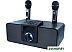 Беспроводная колонка Ritmix SP-660B
