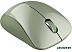 Мышь Canyon CNE-CMSW11SM