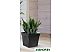 Вазон Multy Home Symphony EU5100016 (черный)
