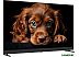 Телевизор Topdevice 55" QLED DQ08 Телевизор Topdevice 55" QLED DQ08