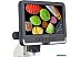 Микроскоп Levenhuk Rainbow DM700 LCD 76825 Микроскоп Levenhuk Rainbow DM700 LCD 76825