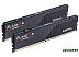 Оперативная память G.Skill Flare X5 2x32ГБ DDR5 6000 МГц F5-6000J3040G32GX2-FX5