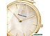 Наручные часы Pierre Lannier Caprice 004G598