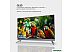Телевизор Evolution WOSQ65MR1SBUHD