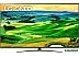 Телевизор LG QNED 65QNED816QA