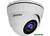 IP-камера Ginzzu HID-2032S