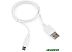 Кабель Cablexpert CC-mUSB2-AMBM-1MW