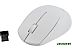 Мышь SmartBuy One 333AG (SBM-333AG-W)