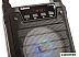 Колонка портативная TELEFUNKEN TF-PS1229B (черный)