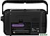 Радиоприемник Ritmix RPR-320 Радиоприемник Ritmix RPR-320