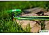 Шланг поливочный Cellfast Green ATS 1/2 дюйма 50 м (арт. 15-101) Шланг поливочный Cellfast Green ATS 1/2 дюйма 50 м (арт. 15-101)