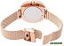 Наручные часы Skagen SKW2688
